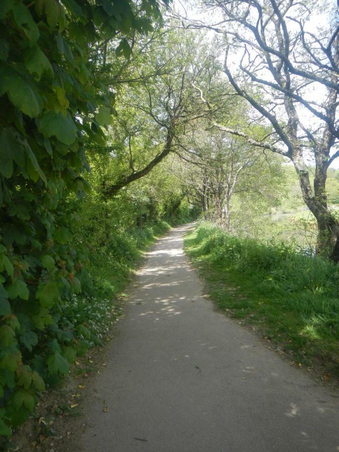 Boots Cottage Bude Exterior foto